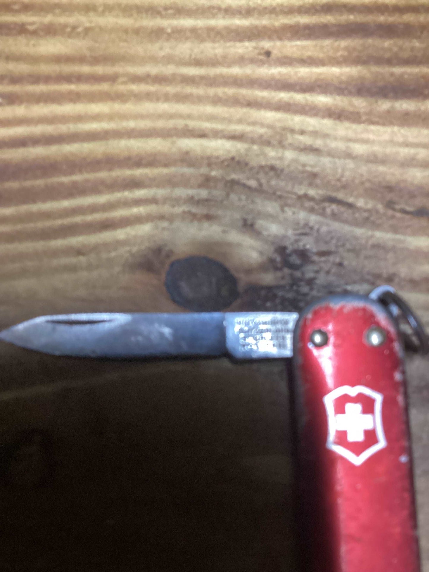 Vintage pocket knife #5