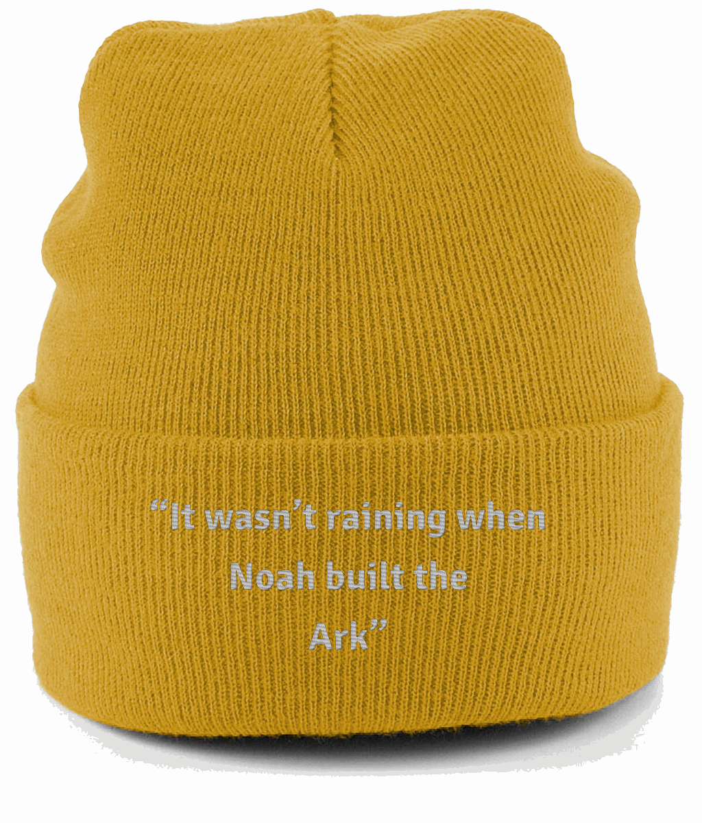 Original Cuffed Beanie “It wasn’t raining when Noah built the Ark”